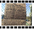 SHOW ME the FREE South Central Farm Digital Video