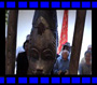 www.asn.csus.edu
